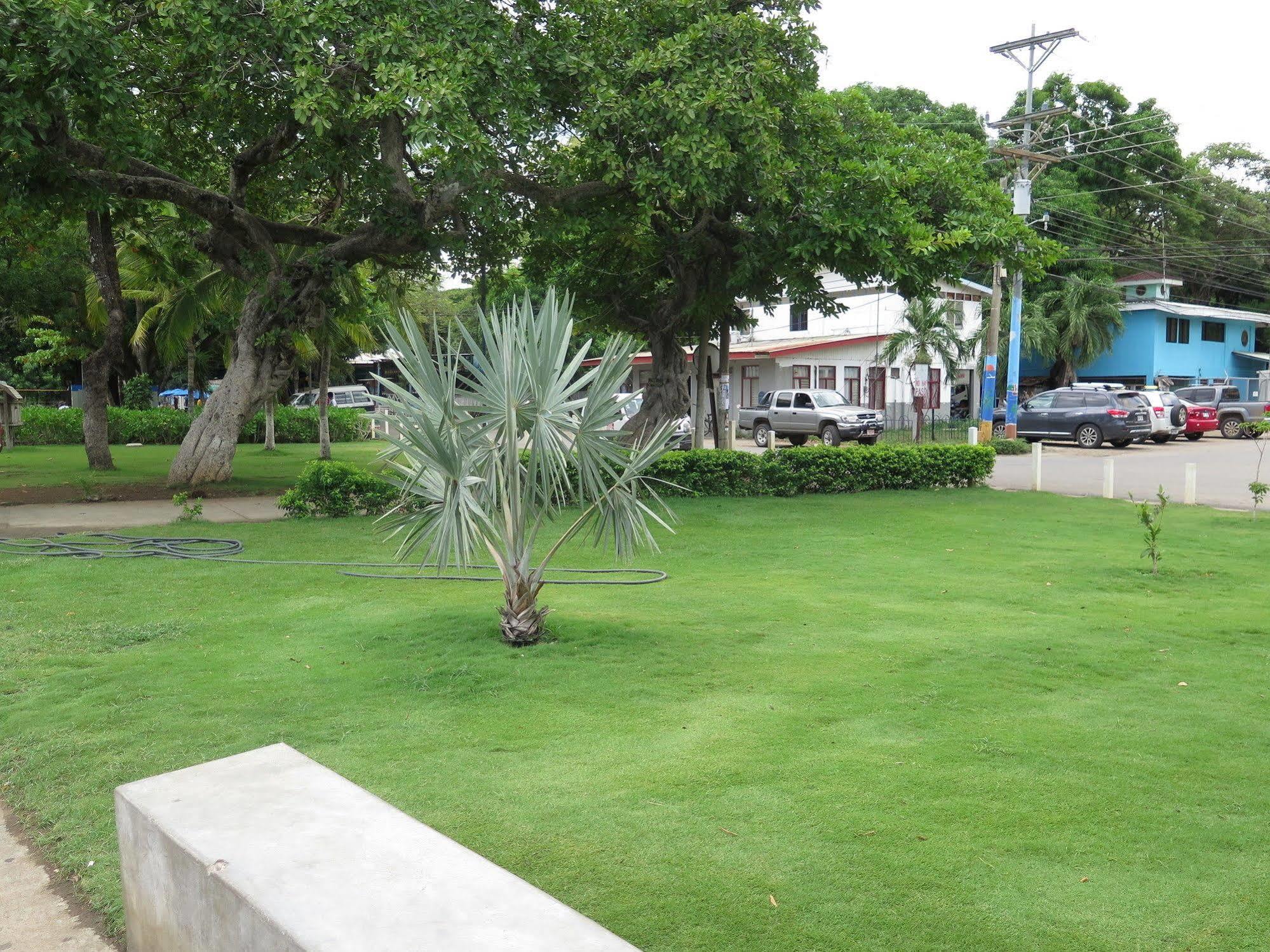 Hotel Savannah Playas del Coco Exterior foto